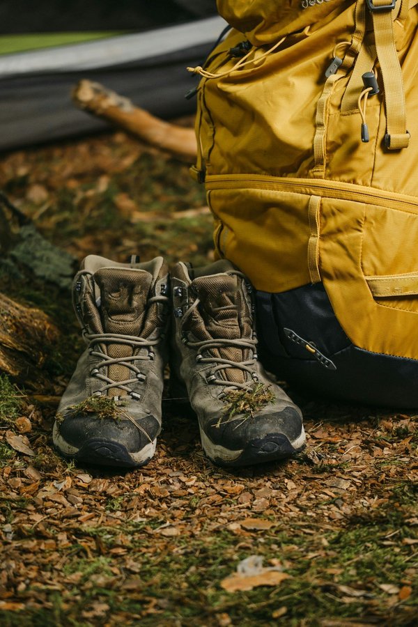 How can tourists participate in sustainable travel experiences in the Scottish Highlands?